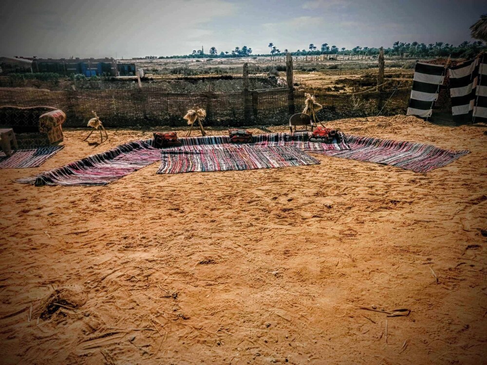 Flamingo Camp