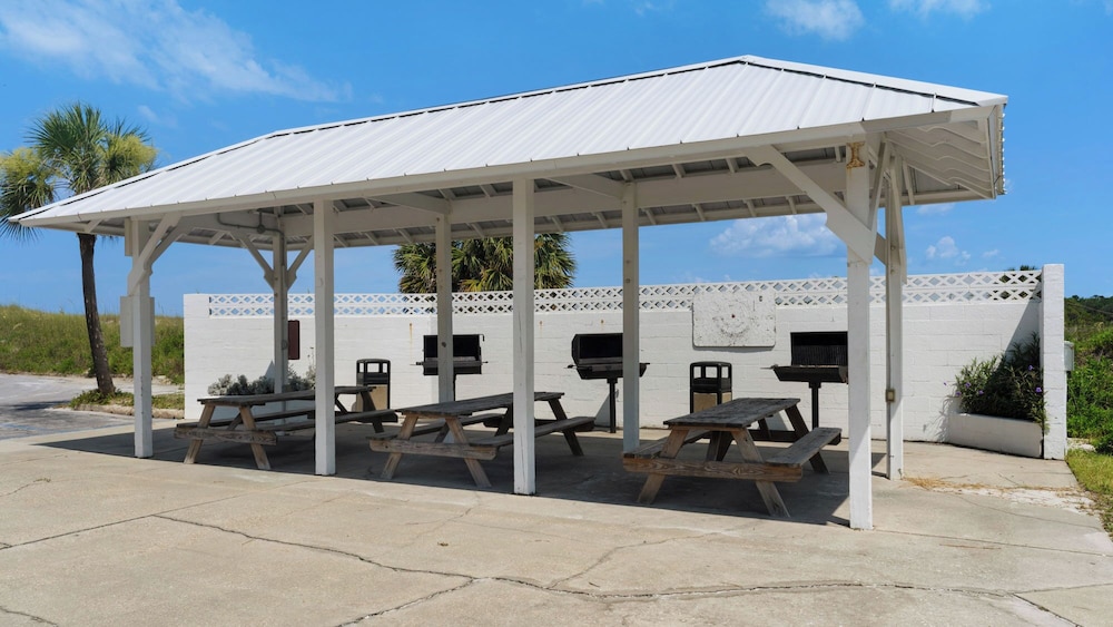 Beachfront Charm Meets Lake Life + Free Tickets: Dolphin Cruise & More!