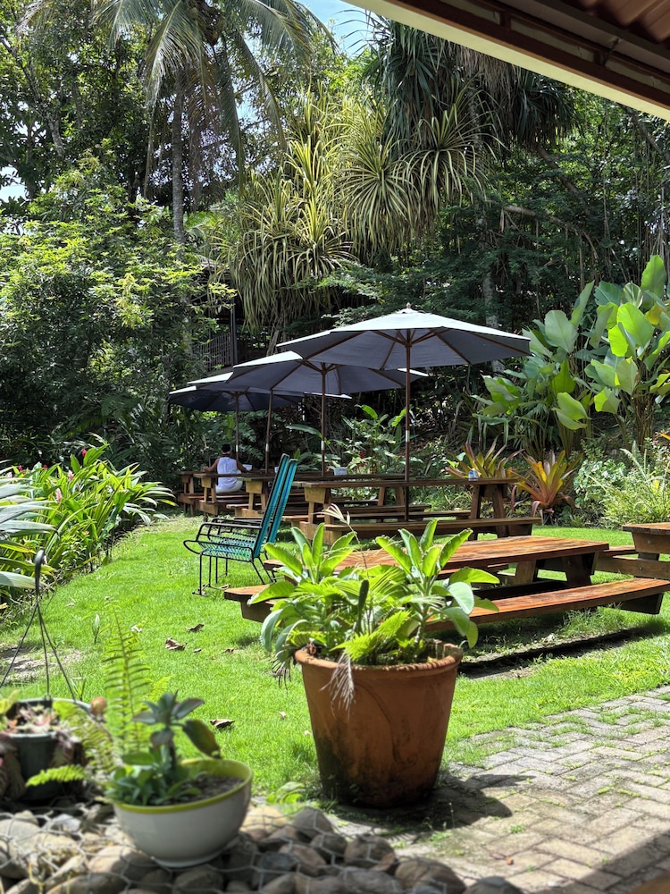 Svastha Yoga & Ayurveda Cafe