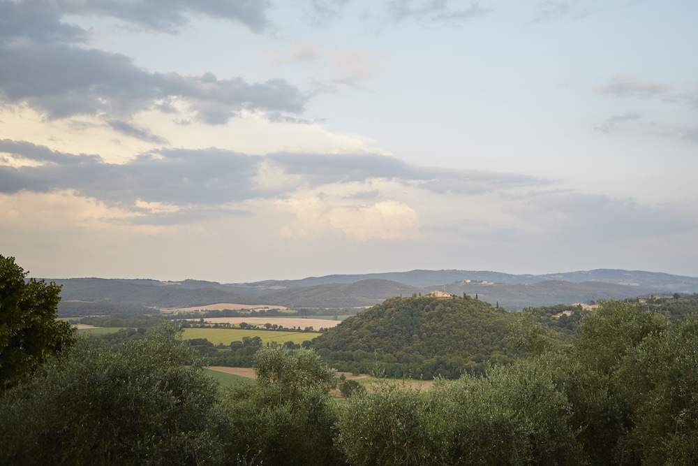 Azienda Agricola Montestigliano
