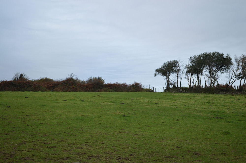 Cwrt y Wennol