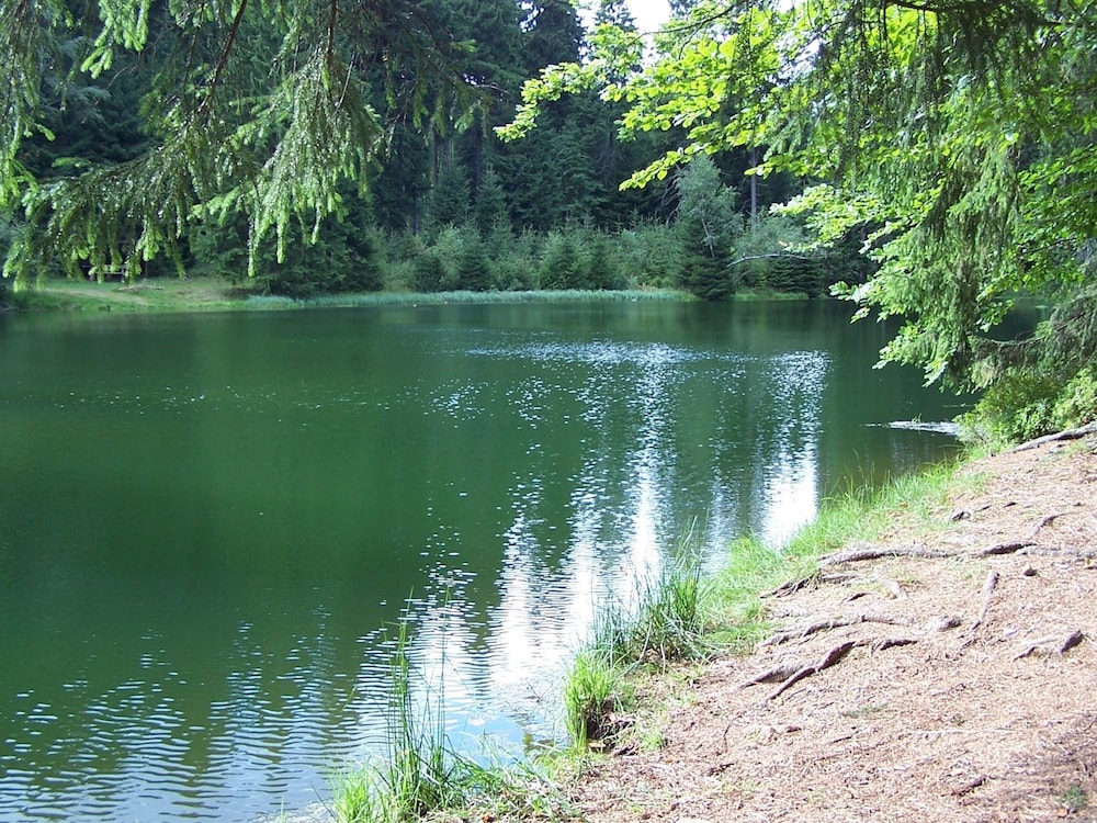 Photo 36
