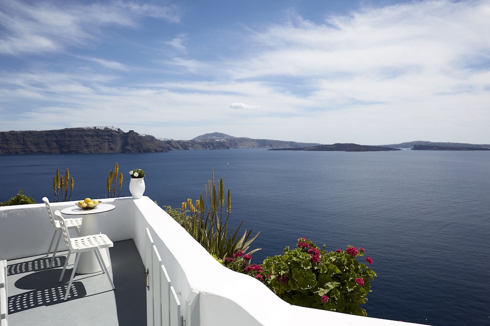 Helianthus Suites