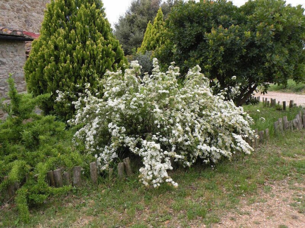 Photo 32