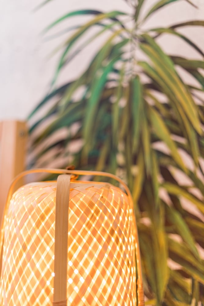 Casa Tropicana photo 5