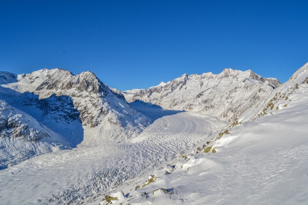 Vieux Valais Beevalais 2