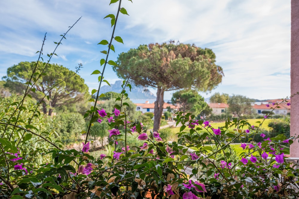 Piazzetta Casa Paola 200m From The Sea view 2