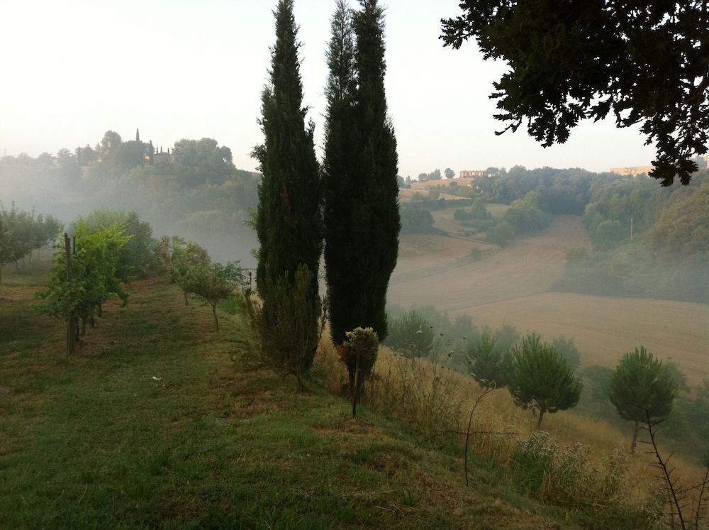 Cottage In The South Of Tuscany view 5