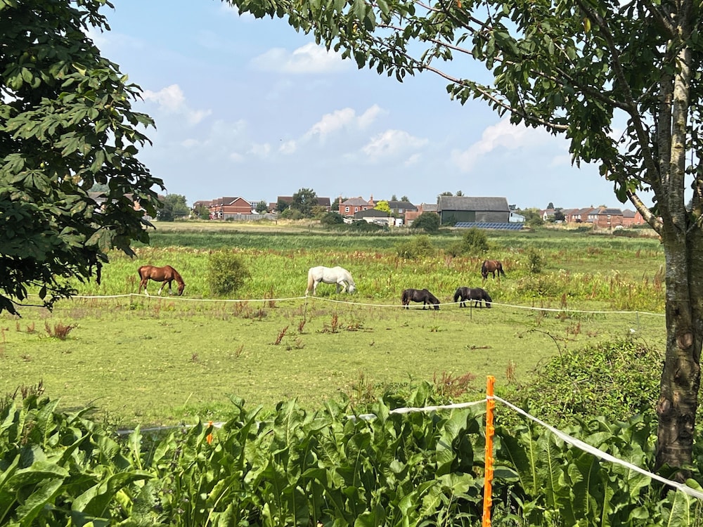 Witham View