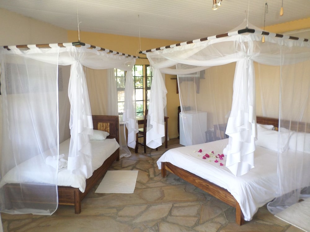 Tambuti Lodge, photo 23