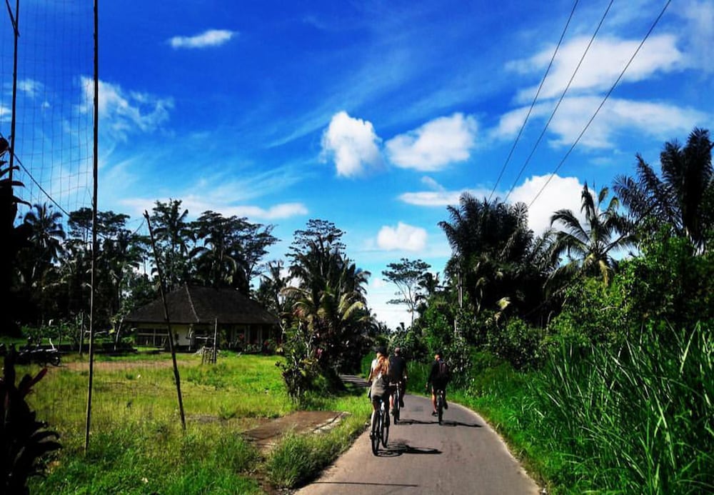 Arimba Resort Ubud