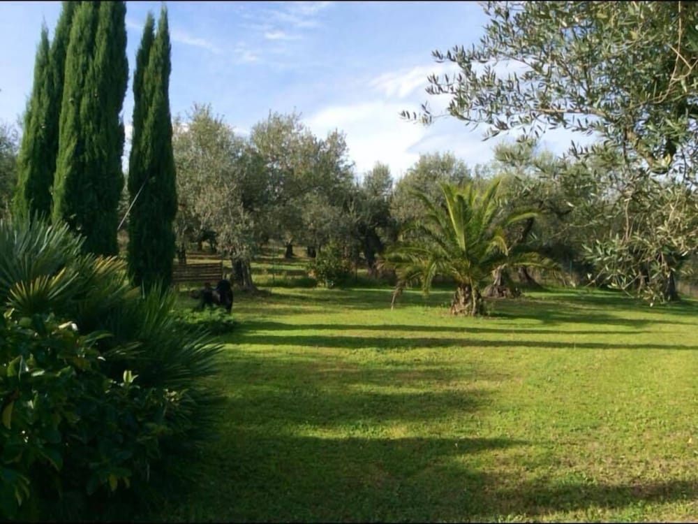 Photo 28