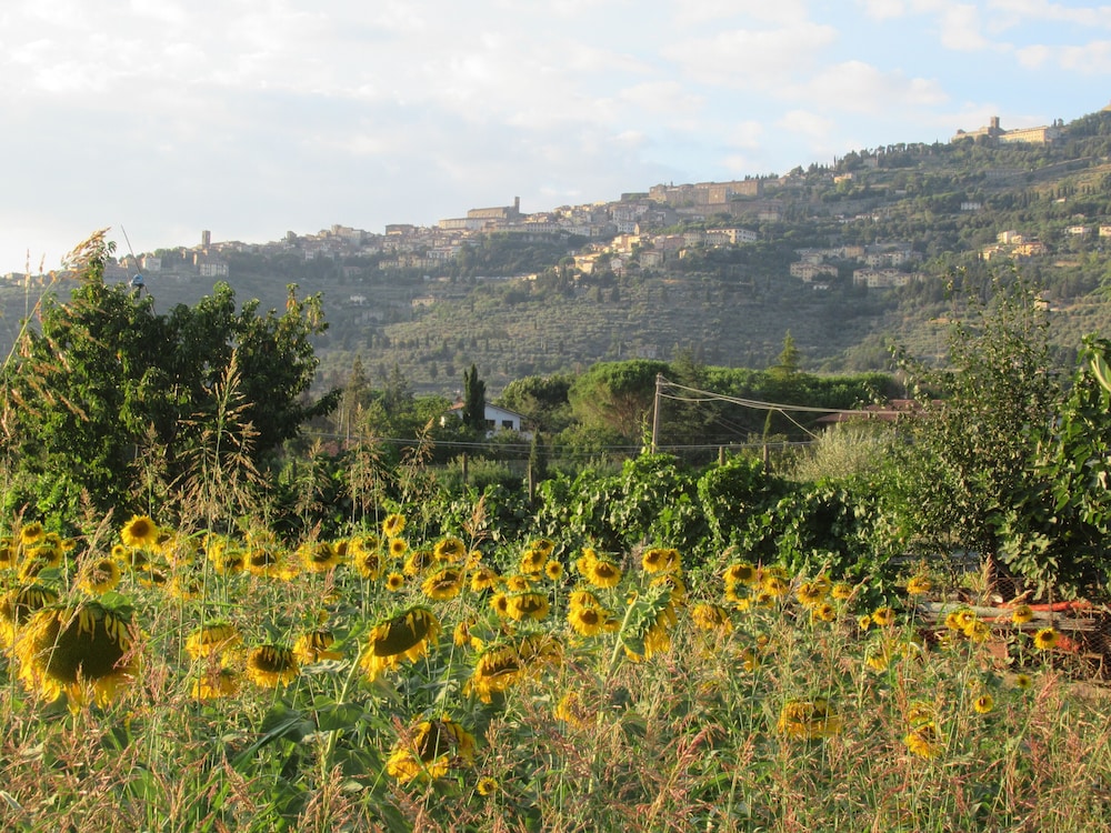 Cortona Vacations - Country House Podere Casorbica - Property Image 18