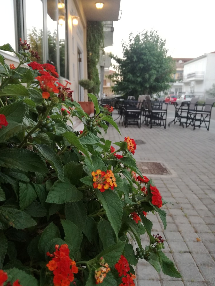 Leonidaion Guest House