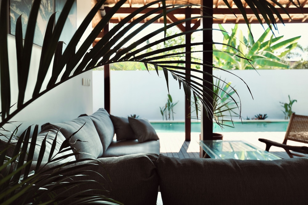Palm Paradise view 3