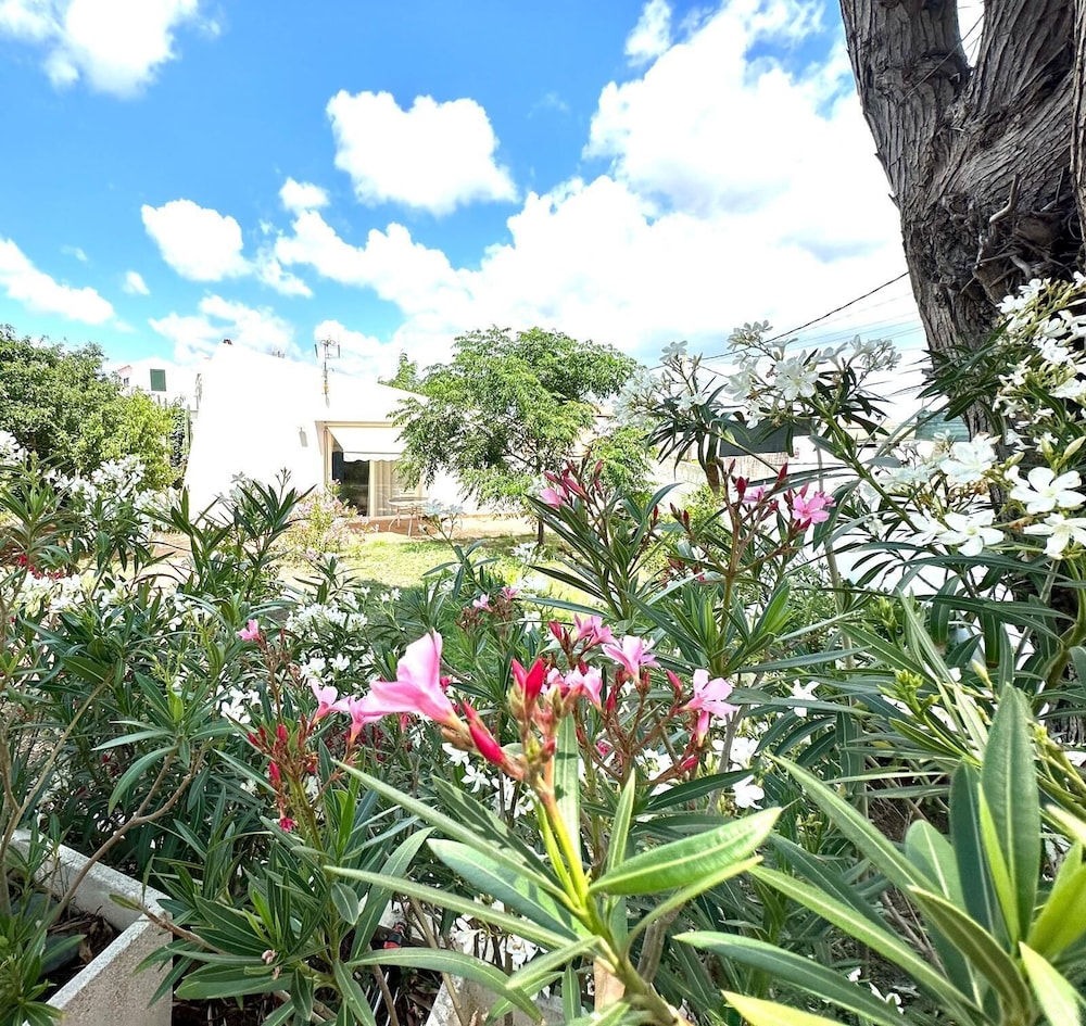STARBAL VILLA