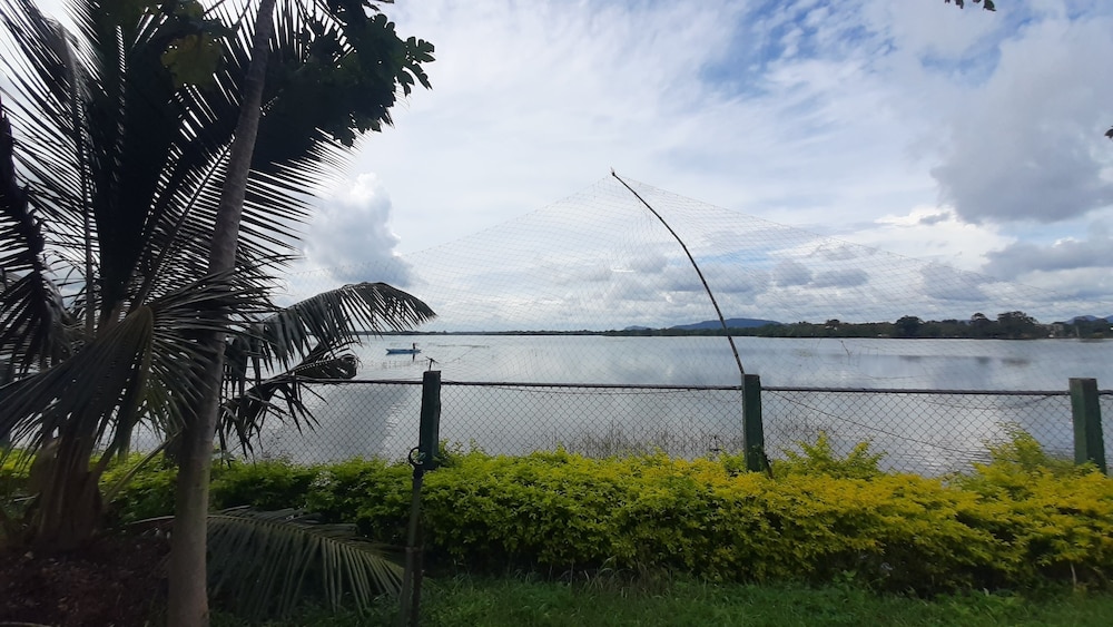 Yala Treetop Lake