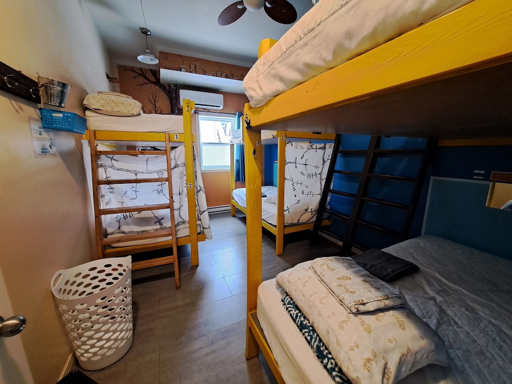 Levis Vacations - Auberge Jeunesse LouLou's Backpacker Hostel - Property Image 16