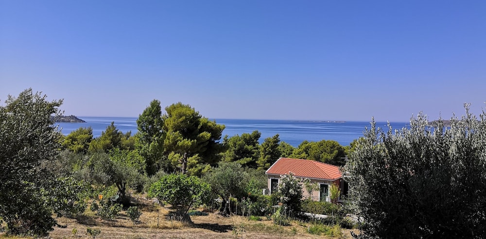 Seapine Studios
