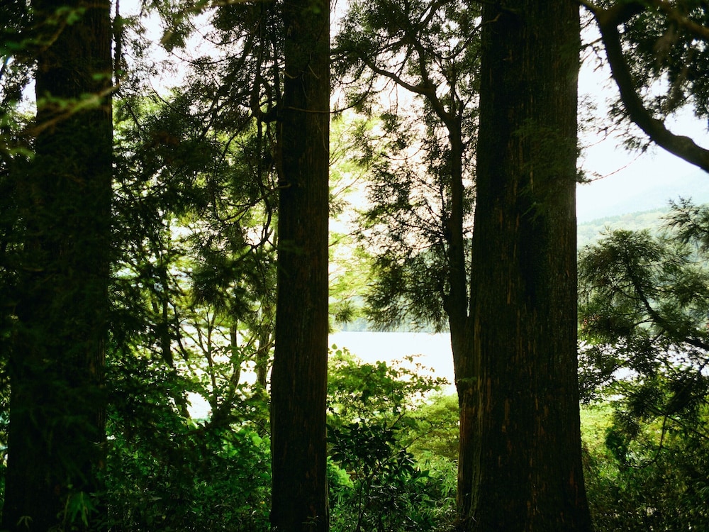 GEOSPOT MOTOHAKONE A