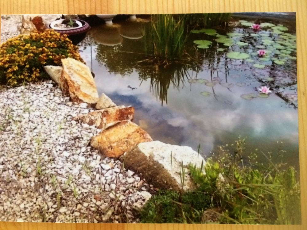 Photo 13