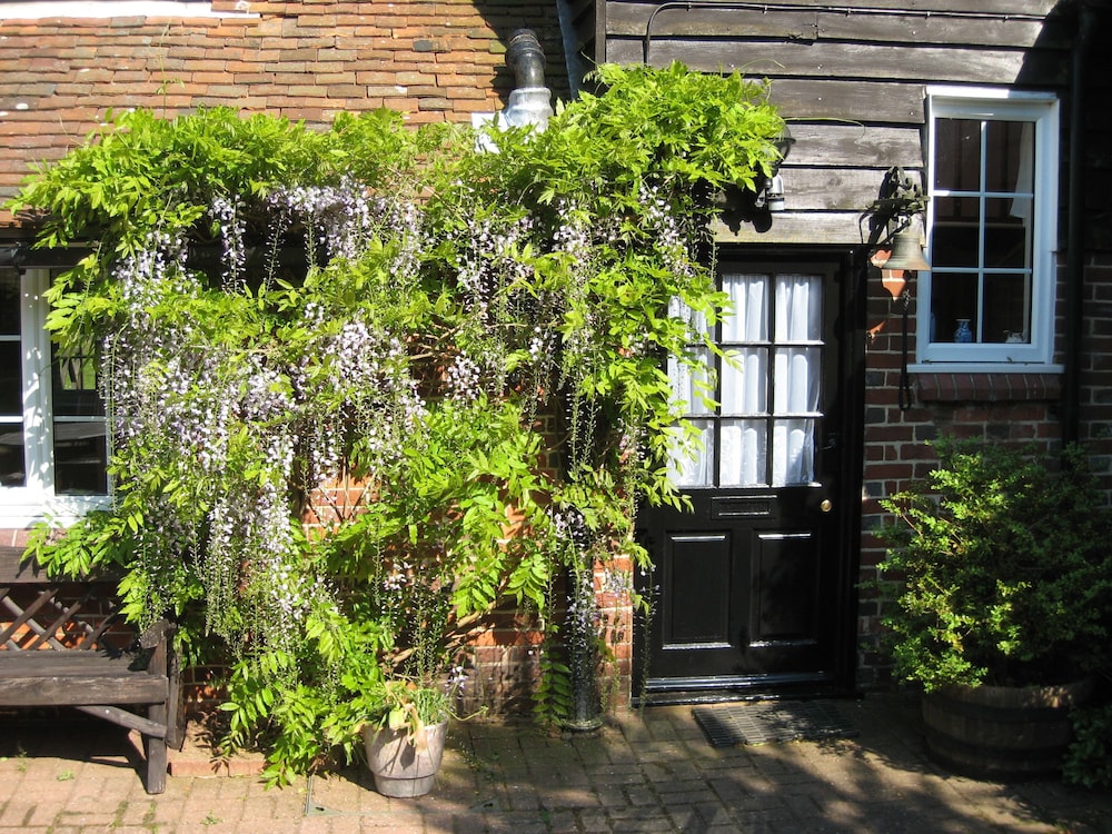 Photo 46