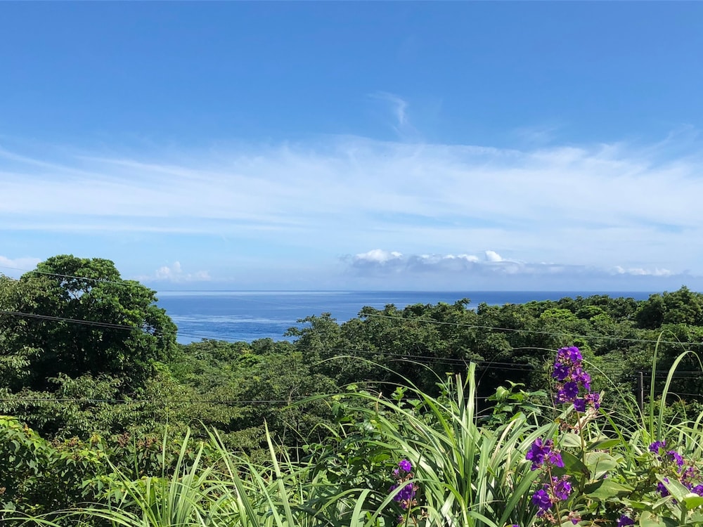 Cottage Orange House Yakushima