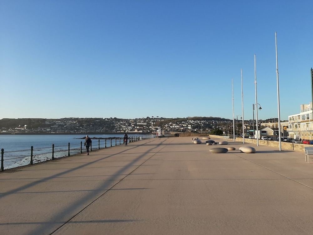 The Dunedin