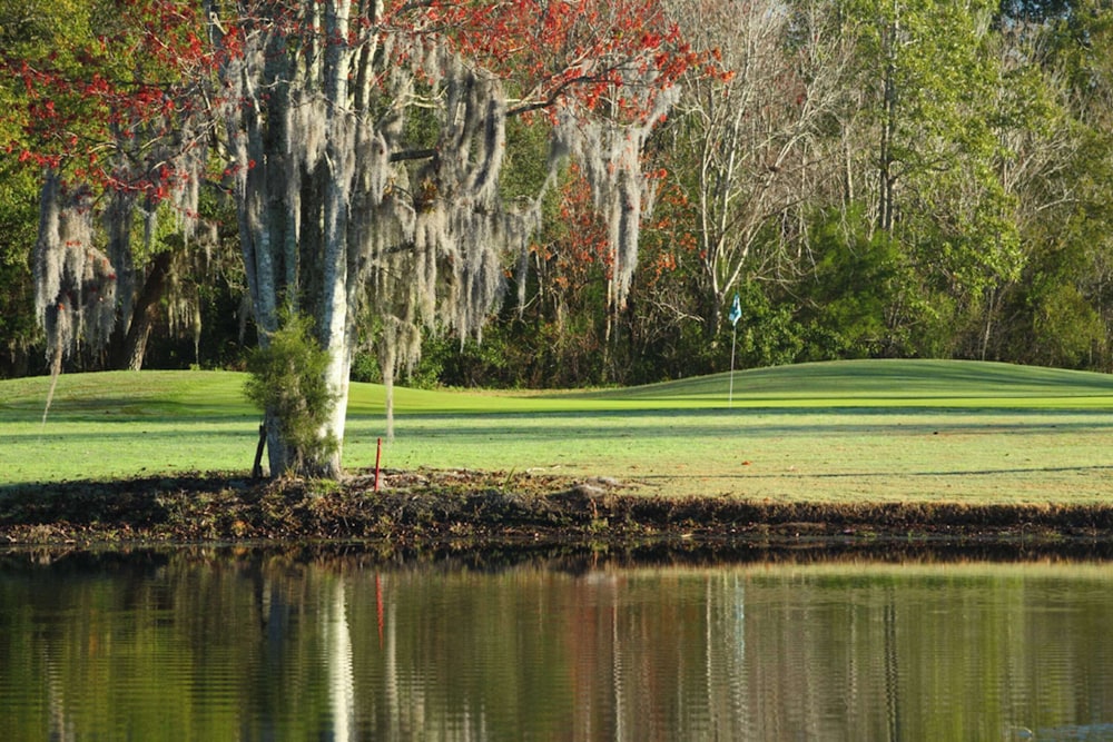 Plantation Resort on Crystal River, Ascend Hotel Collection, Billede 96