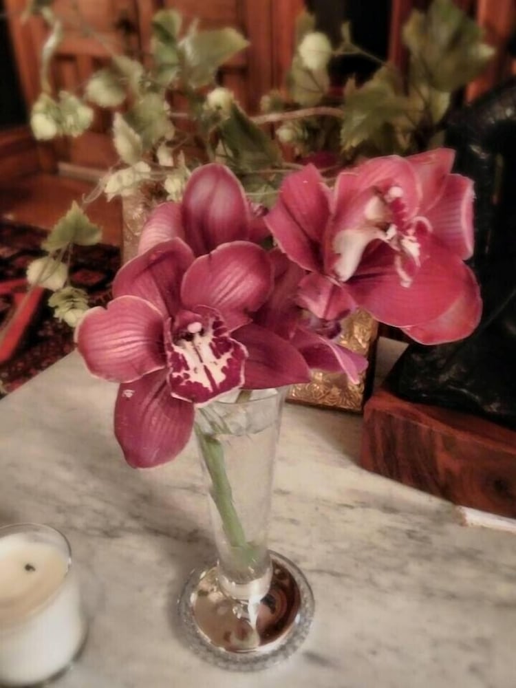 Milwaukee Vacations - Manderley Bed and Breakfast - Property Image 62