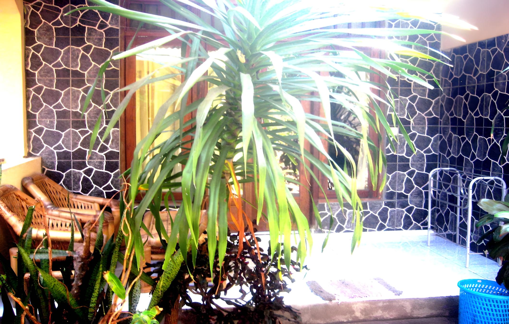 Gerald Homestay