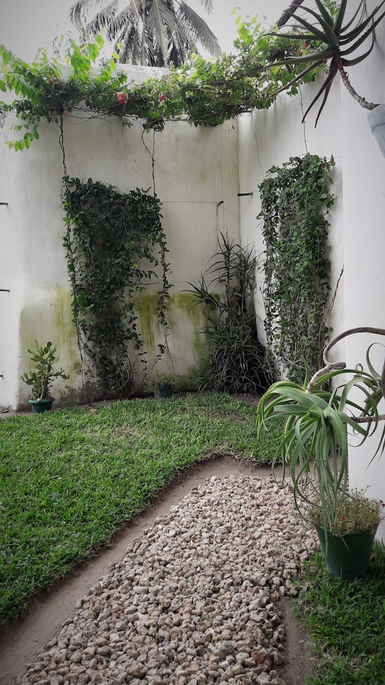 Jardim dos Aloés - Unique B&B, photo 72