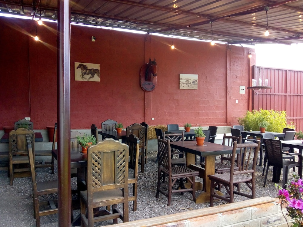 Ficus Lodge