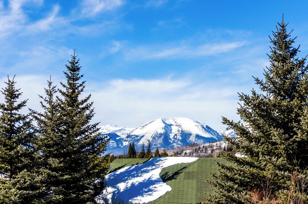 Saddle Ridge Townhomes #253 : 2