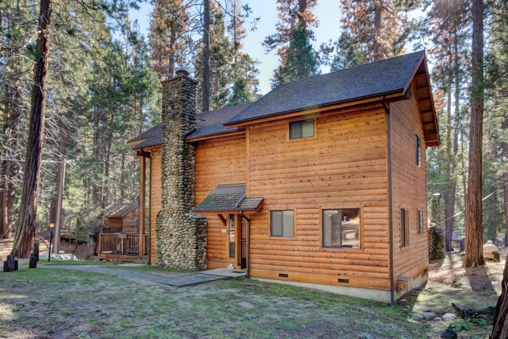 Cabin Twelve