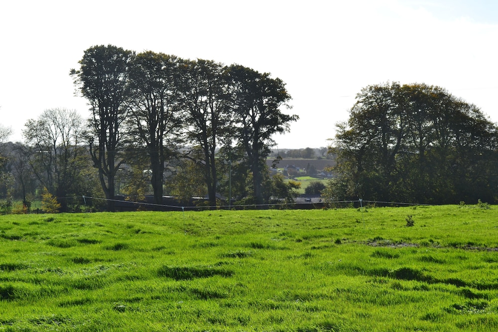 Skryne Castle Built in 1142 view 4
