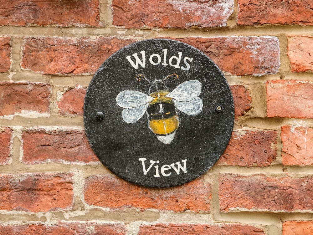 Wold's View