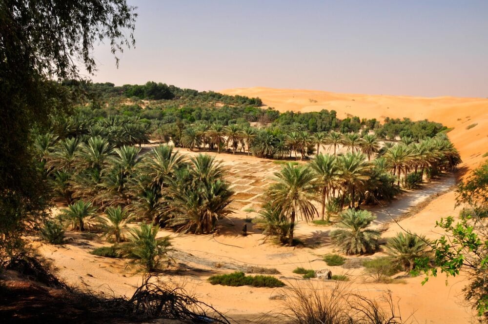 Aldhafra Resort, Vignette Collection by IHG