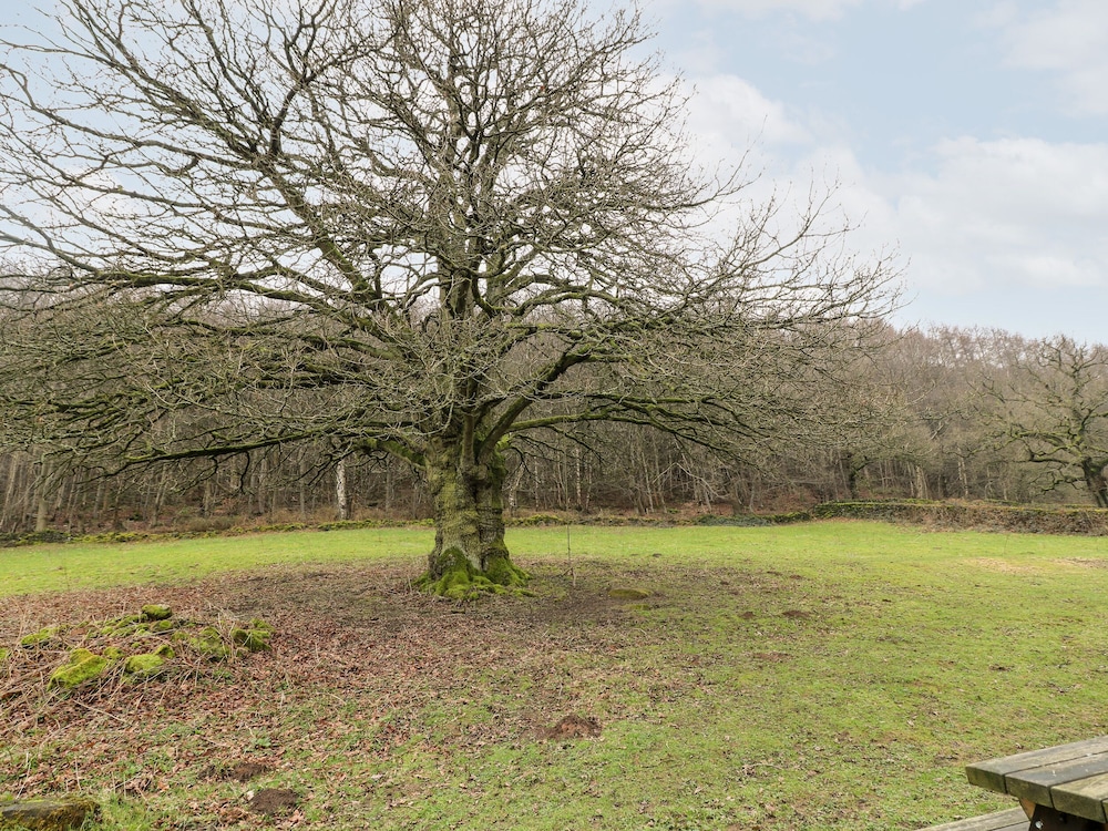Oak Tree Cottage