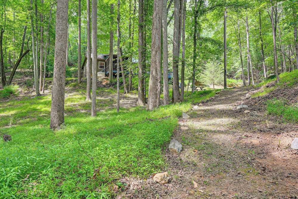 Pet-friendly Philpott Lake Cabin: Hiking & Boating