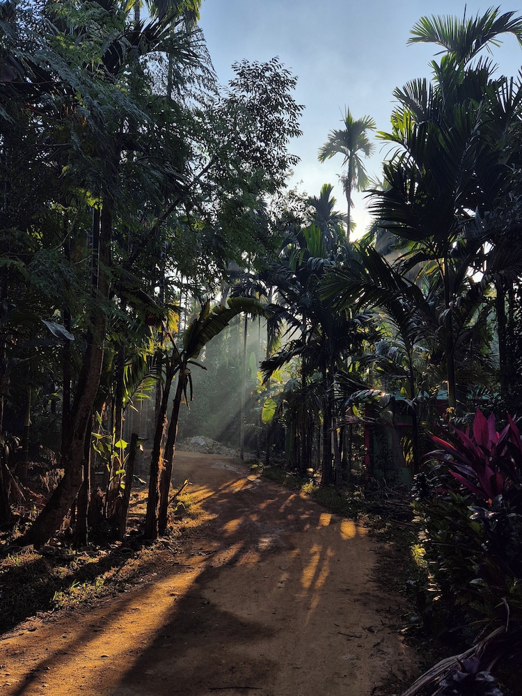 Warichora Homestay and Rooms Meghalaya