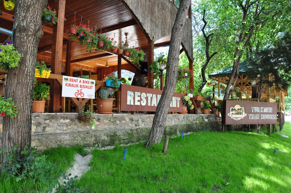 Turkmen Tree Houses
