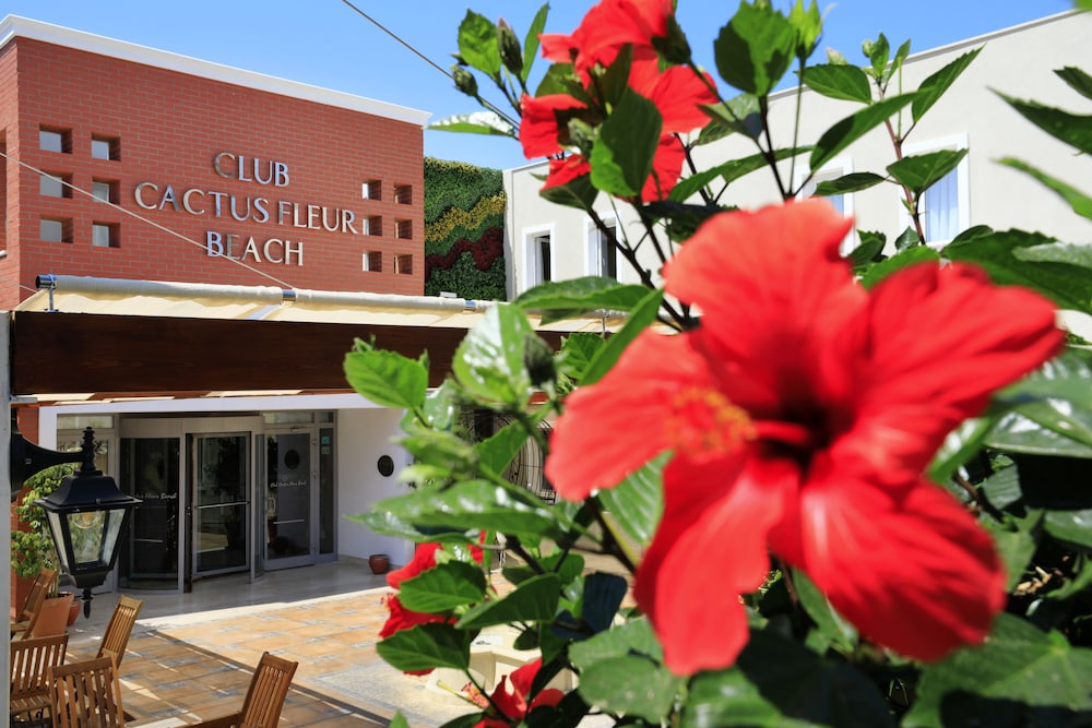 Cactus Fleur Beach Club - All Inclusive - Image 19