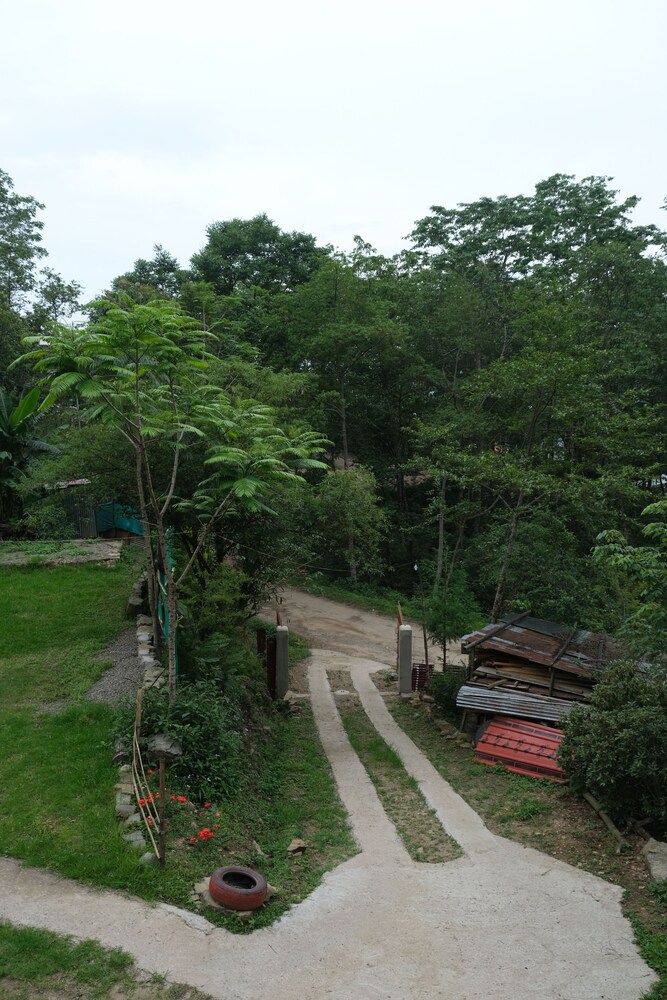 Photo 16