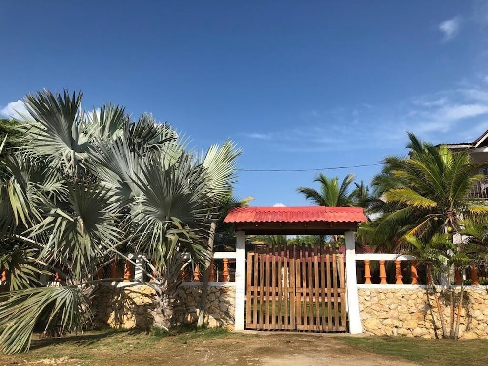 Las acacias Tolu