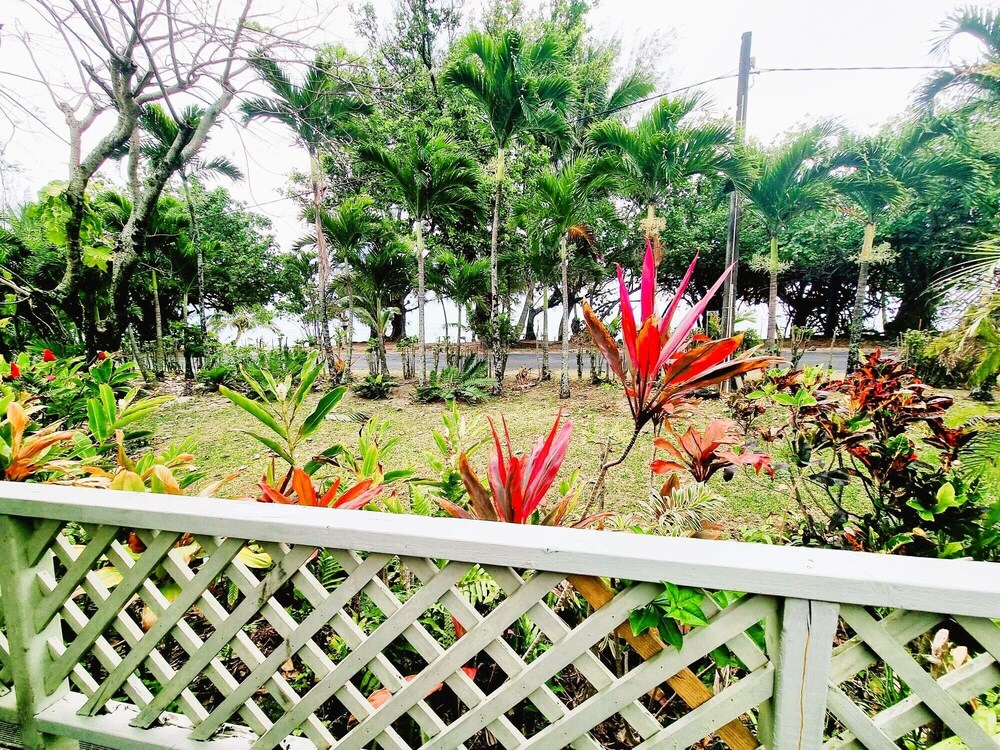 Natura Turtle Bungalow