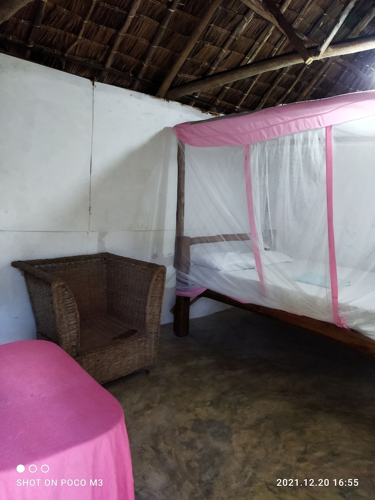 Room-mida Creek Eco Camp - Relax in Cosy view 4