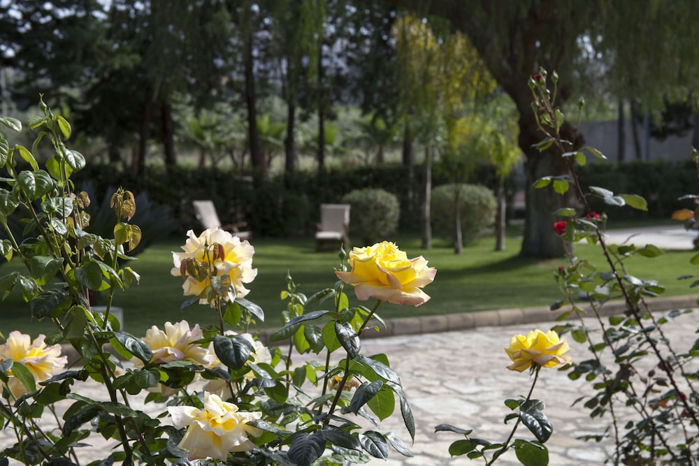 B&B Villaseta