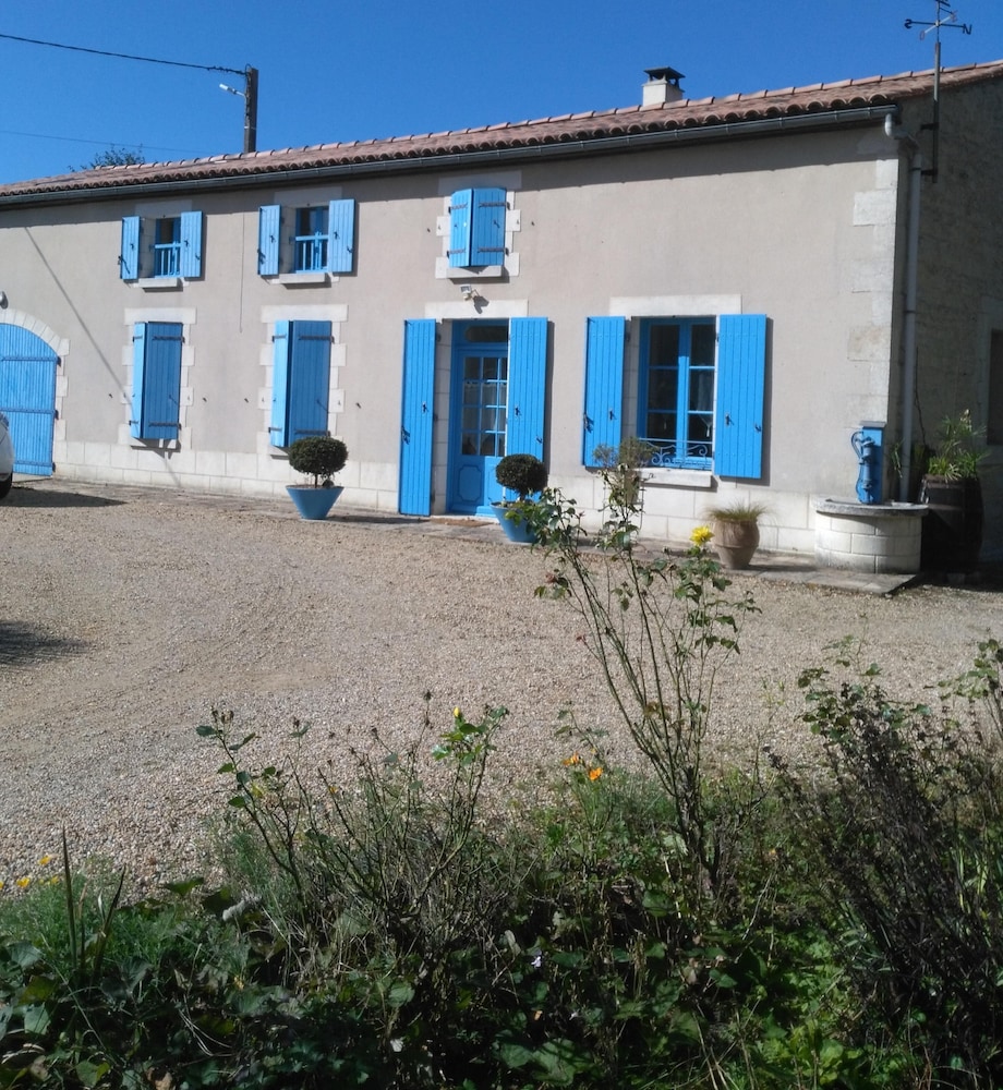 Photo 11