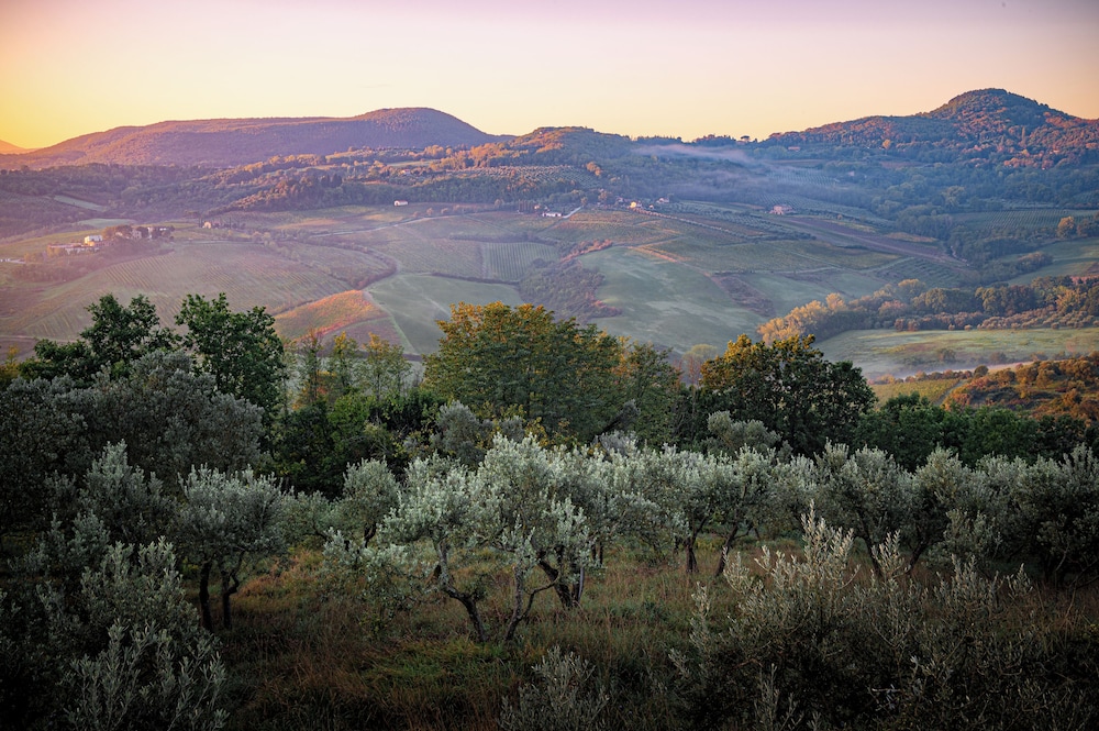 Stelle di Monte